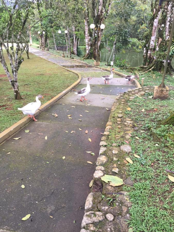 Casa De Luxo Sp Ubatuba